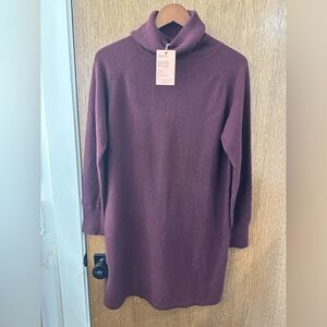 Quince Mongolian Cashmere Turtleneck Sweater Dress / Burgundy / L